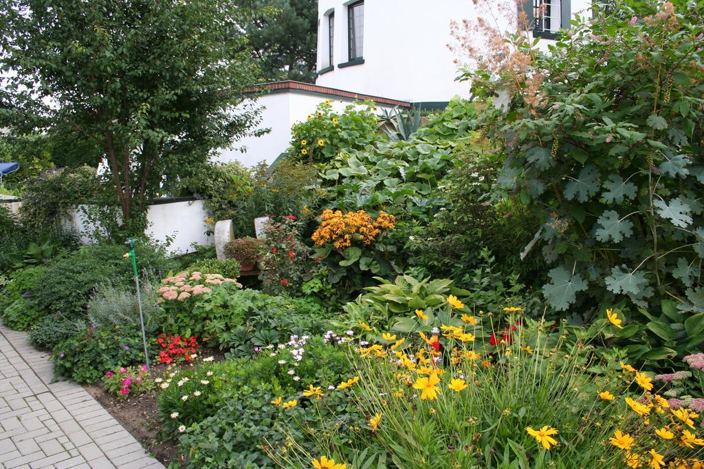 De Witte Molen Kranenburg Bed & Breakfast Exterior photo
